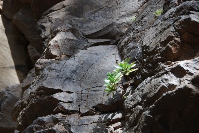 Im Barranco de Arure, im engen Kessel eines Wasserfalls