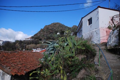 La Culata Opuntien Agave.jpg