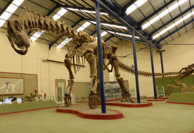 Argentinosaurus.jpg