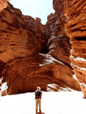 El Anfiteatro, Quebrada de las Conchas, Salta