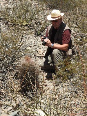 Echinopsis leucantha RB3216 - südl. Sierra de Quilmes, Catamarca 2200m