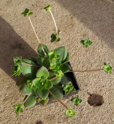 20120110_122301.jpg
