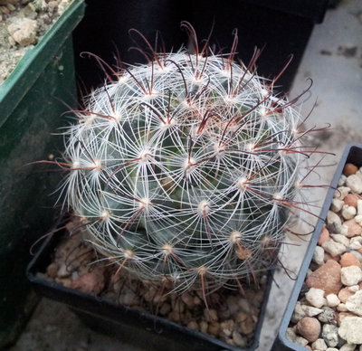 20120121_160142.jpg