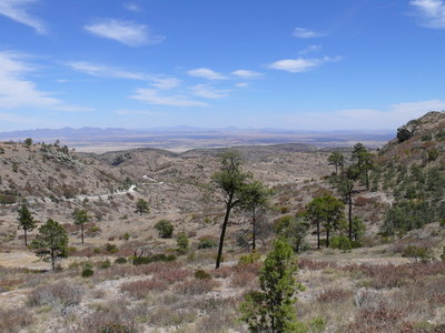 049 P1010112 Landschaft am Standort.jpg