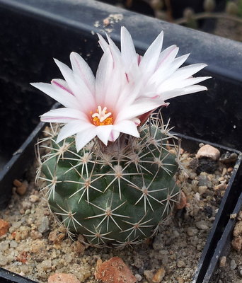 20120413_144053.jpg