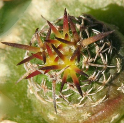 IMG_0976.jpeg (85.73 KiB) 20700 mal betrachtet ???