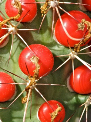 IMG_1052.jpeg (125.34 KiB) 19861 mal betrachtet ???