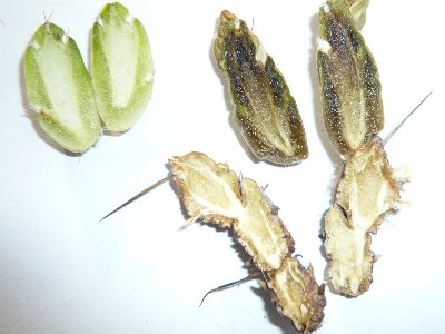 P1020186.jpg