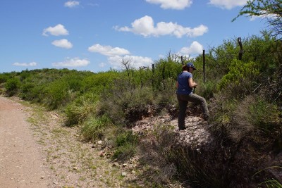 DSC02864.JPG (129.56 KiB) 10733 mal betrachtet Wegböschung 2 km nach Ongamiraabzweig Richtung Ischilin, Cordoba 1195m