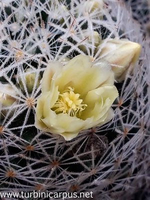 20160324_134927.jpg