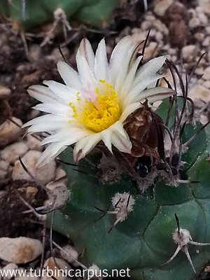 20140419_132020.jpg