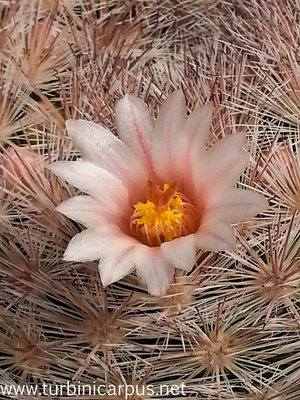 20140416_142738.jpg