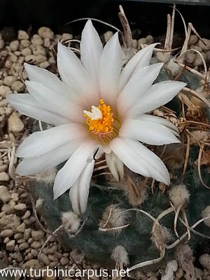 20140419_142611.jpg