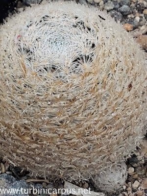 20160415_090631.jpg
