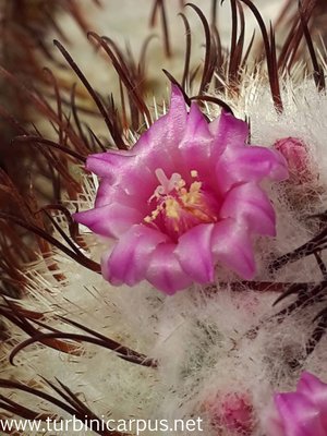 20160421_130146.jpg