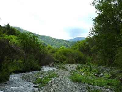 Rio Pampichuelas, Bosque de Arrayanes - Concepción