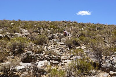 DSC03388.JPG (201.45 KiB) 12732 mal betrachtet endlich am richtigen Hang