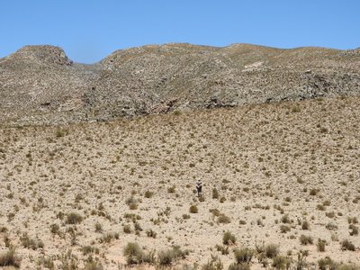DSCN1578.JPG (223.4 KiB) 13294 mal betrachtet auf der Suche nach Acanthocalycien