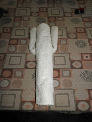 DSCN1659.JPG (105.23 KiB) 12526 mal betrachtet Hotel Los Toneles - Cafayate, Salta