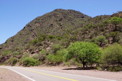 DSC03639.JPG (126.89 KiB) 16524 mal betrachtet Quebrada de las Conchas - südwestl. Alemania, Salta 1250m