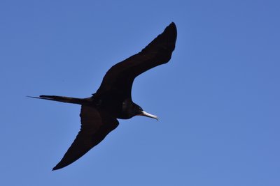 DSC_1775.JPG
