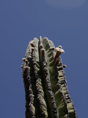 IMG_5127-a.jpg