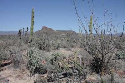 IMG_5703.jpg