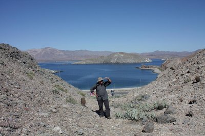 IMG_6222-a.jpg