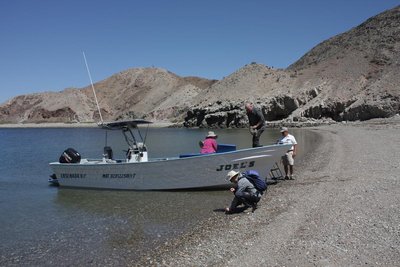 IMG_6437.jpg