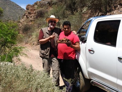 foto-008.JPG (166.32 KiB) 12363 mal betrachtet foto-008.JPG