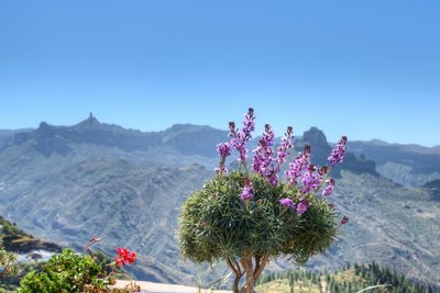 Artenara, Roque Nublo (800x533).jpg