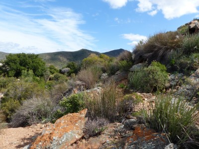 Karoo Desert.jpg