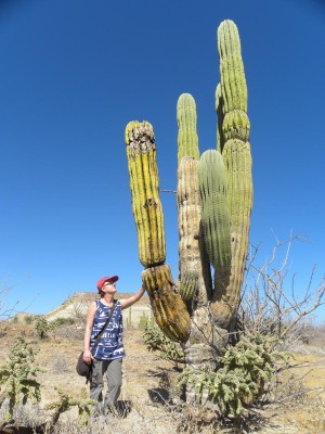 baja-0355.JPG