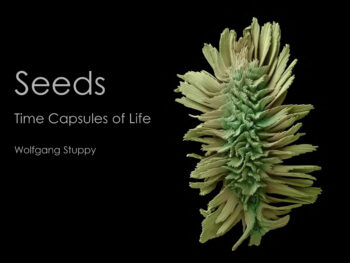 Seeds-Time-Capsules-of-Life_Bonn-TEASER-1-350x263.jpg
