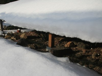 IMG_6088.jpg