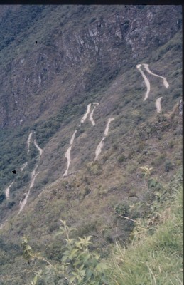 86-348 Machupicchu.jpg (480.11 KiB) 11375 mal betrachtet Anfahrt auf Machupicchu