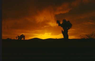 Sonnenuntergang2.jpg (302.23 KiB) 8135 mal betrachtet Ende