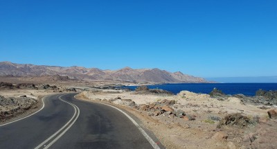 Cop10_rupestris_00_9352_2IMG_9351_0241116_102411-a.jpg