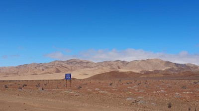 Cop10_rupestris_61_2683_20241122_111250-a.jpg