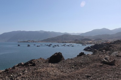 Cop10_rupestris_80_2682_9349_Taltal-a.jpg
