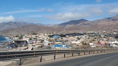 Cop10_rupestris_81_2682_20241124_171132-a_Taltal.jpg