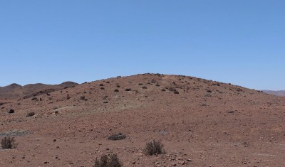 Cop11_desertorum_00_9439-a.jpg
