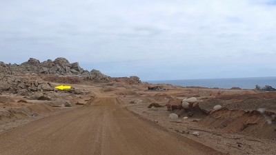 Cop14_tigrillo_02_2211_20241122_161531-aa.jpg
