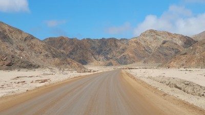Cop18_Pan_05_20241125_115603-a.jpg