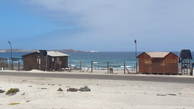Cop19_Flamenco_07_20241127_111905-a.jpg