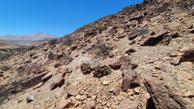 Cop22_rubispina_20_20241129_130316-a.jpg