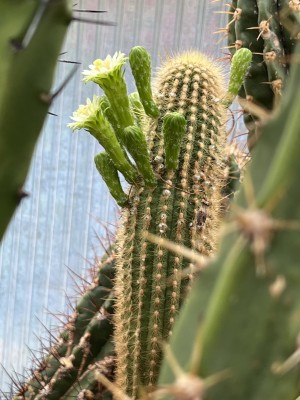 IMG_6223 Kopie.jpeg