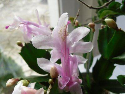 image149.jpg