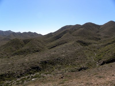 baja-1075.JPG (97 KiB) 10378 mal betrachtet Bergwelt auf der Isla Magdalena