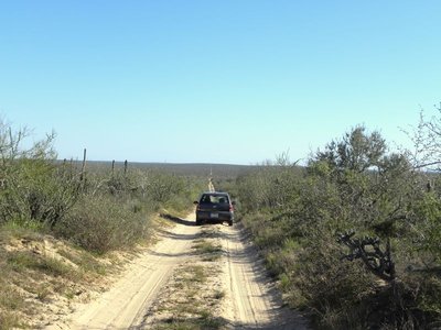 baja-0891.JPG (101.72 KiB) 10500 mal betrachtet Mexican Highway